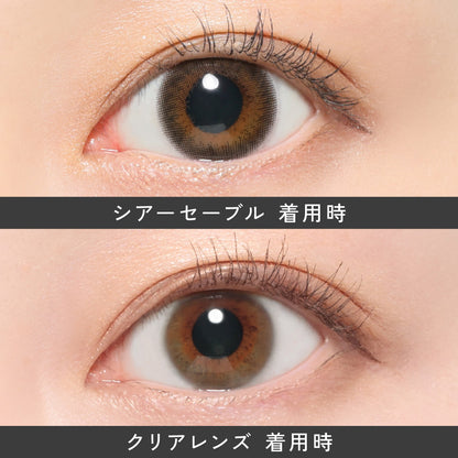 ReVIA MULTIFOCAL 1day Sheer Sable