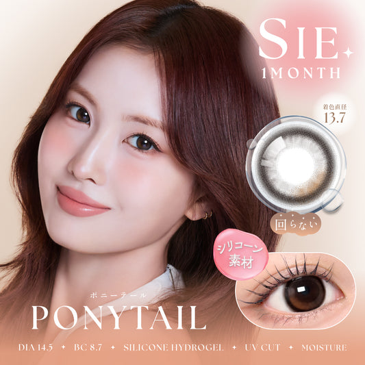 SIE. 1month PONYTAIL